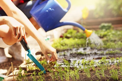 Website cookies and privacy settings for Landscaping Hainault