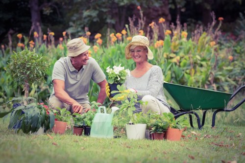 Garden makeover planning and landscaping in Hainault