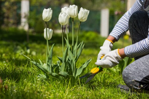 Landscaping pricing overview for a Hainault garden clearance