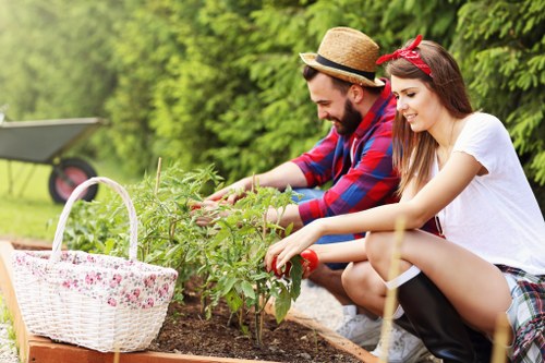 Garden landscaping project planning for a Hainault home garden