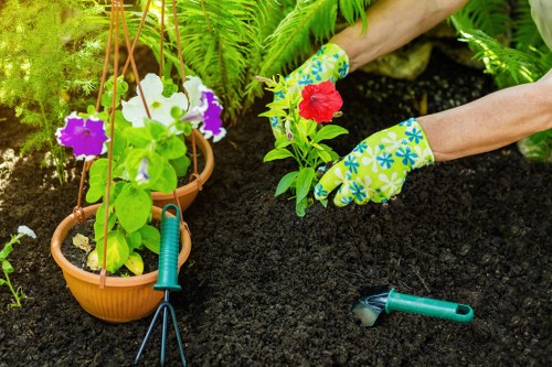 Garden design and build project planning in Hainault with patio and planting ideas