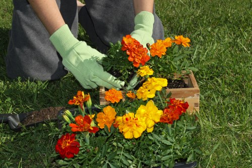 Cookie retention and policy update notice for Landscaping Hainault