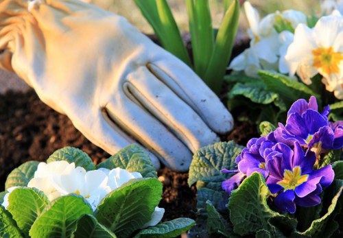 Preparing soil and garden beds for soft landscaping in a Hainault property
