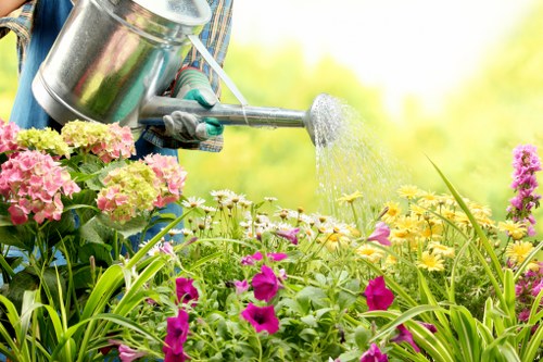 Local soft landscaping team planning a garden project in Hainault
