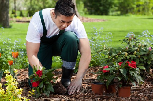 Example landscaping job quote for a Hainault property