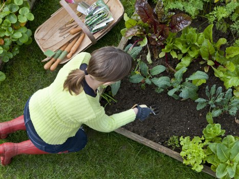 Final cookie policy acknowledgement for a Hainault garden service
