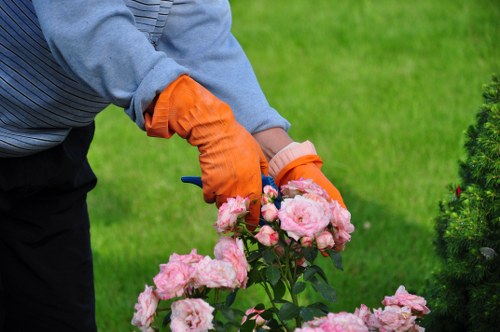 Trained landscapers using equipment with care and supervision