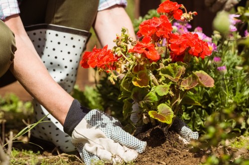 Marketing cookies used for relevant landscaping content
