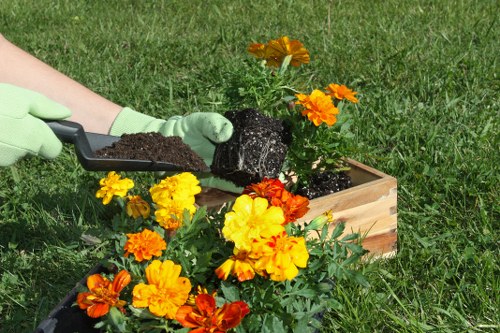 Site review during a landscaping complaint investigation